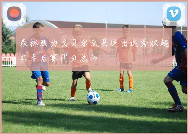 森林狼为戈贝尔交易送出选秀权超其季后赛得分总和